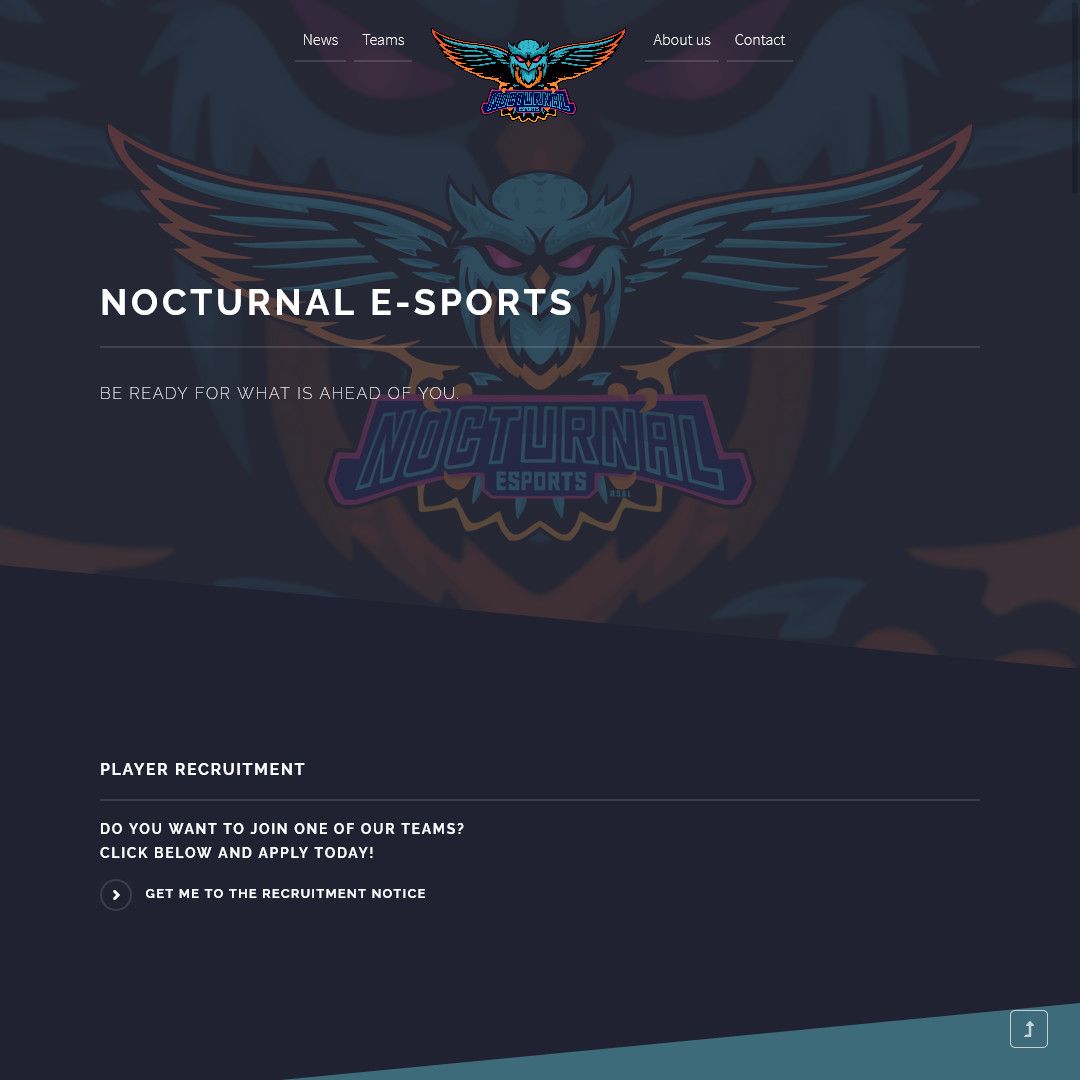 Image, Nocturnal E-sports Screenshot of the website's landing page.